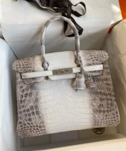 Alternative view of Hermès Birkin Himalaya 30 cm